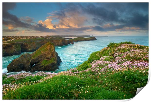 Sea thrift at Newquay Print by Michael Brookes