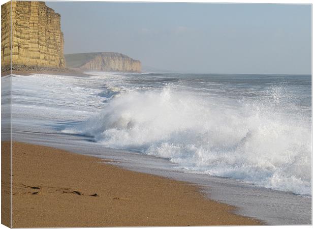 Breaking Wave Canvas Print by Neil Gregory