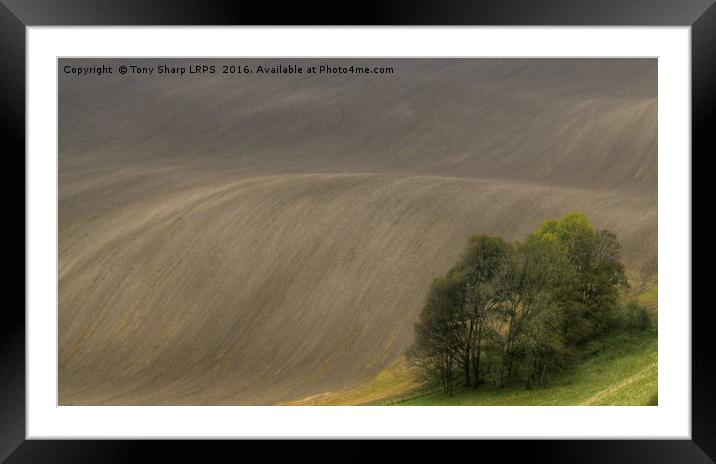 Downland Waves Framed Mounted Print by Tony Sharp LRPS CPAGB