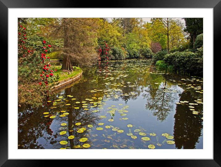 Lakeside Gardens Framed Mounted Print by David McCulloch