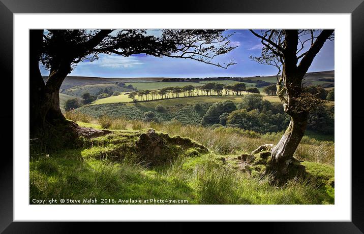 Exmoor tree view Framed Mounted Print by Steve Walsh