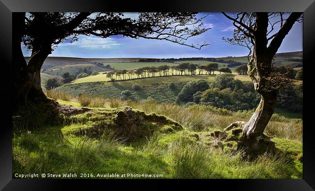 Exmoor tree view Framed Print by Steve Walsh