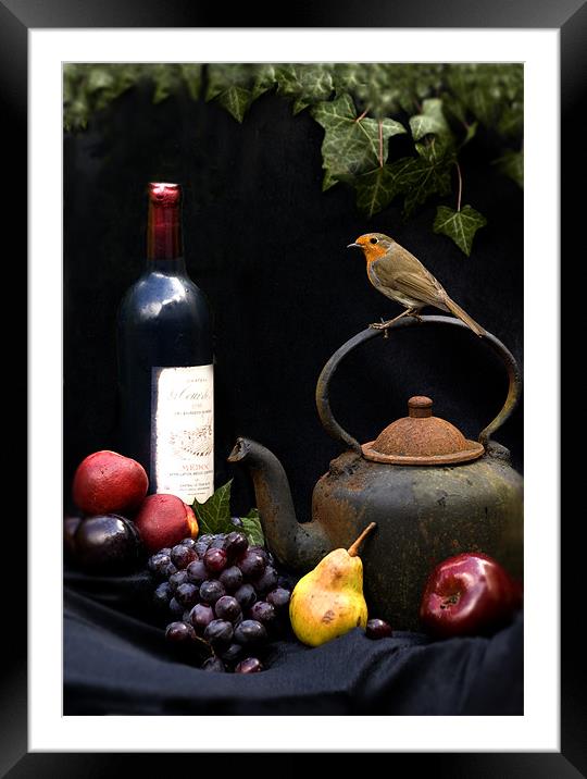 ROBIN STILL LIFE Framed Mounted Print by Anthony R Dudley (LRPS)