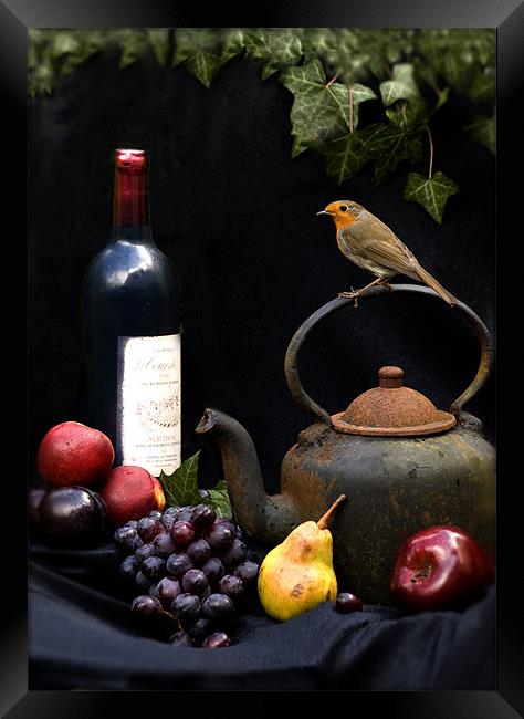 ROBIN STILL LIFE Framed Print by Anthony R Dudley (LRPS)