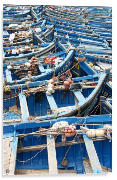 Moroccan Fishing Boats Acrylic by David Birchall