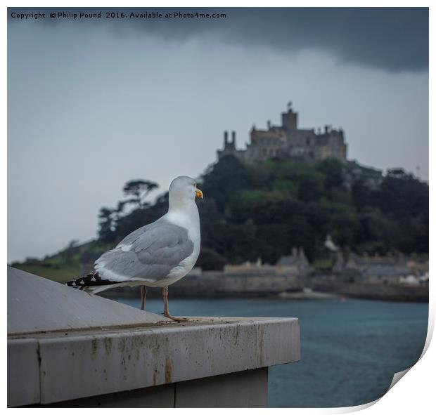 Seagull looks out to St Michael's Mount in Cornwal Print by Philip Pound