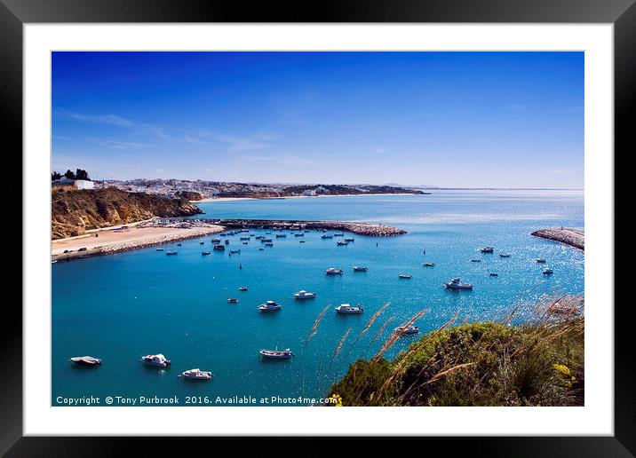 Fishing Harbour Framed Mounted Print by Tony Purbrook