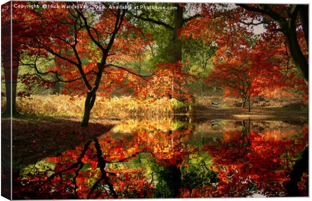 Autumn Spectacle  Canvas Print by Nick Wardekker