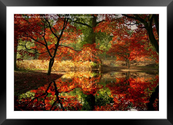 Autumn Spectacle  Framed Mounted Print by Nick Wardekker