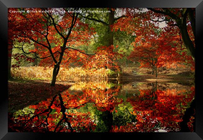 Autumn Spectacle  Framed Print by Nick Wardekker
