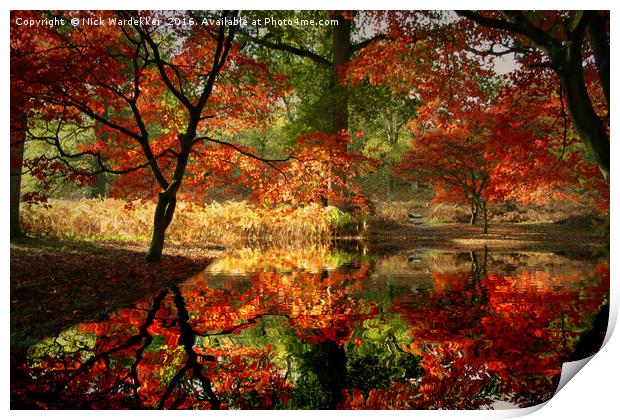 Autumn Spectacle  Print by Nick Wardekker