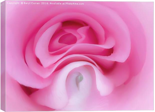 Pink Ladys Graceful Elegance Canvas Print by Beryl Curran