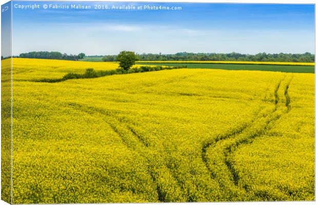 Colourful Fields of France Canvas Print by Fabrizio Malisan