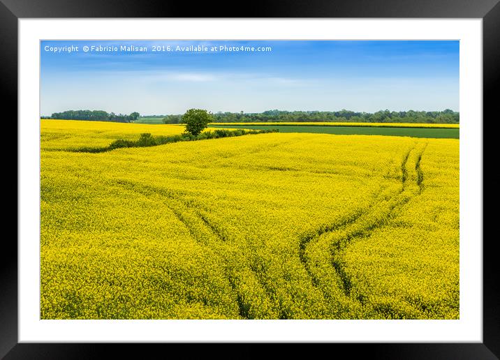 Colourful Fields of France Framed Mounted Print by Fabrizio Malisan
