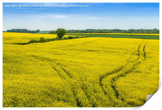 Colourful Fields of France Print by Fabrizio Malisan