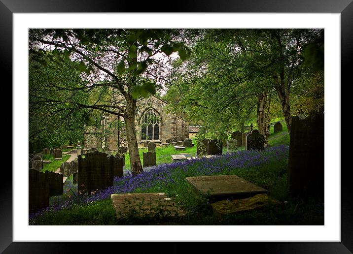Bluebells at Fewston Church Framed Mounted Print by LIZ Alderdice