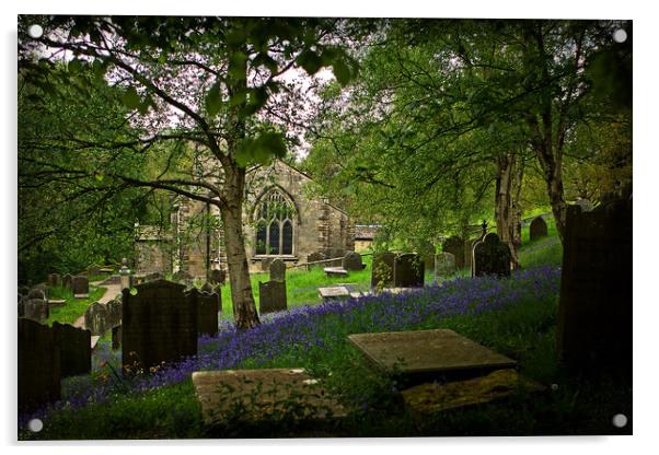 Bluebells at Fewston Church Acrylic by LIZ Alderdice