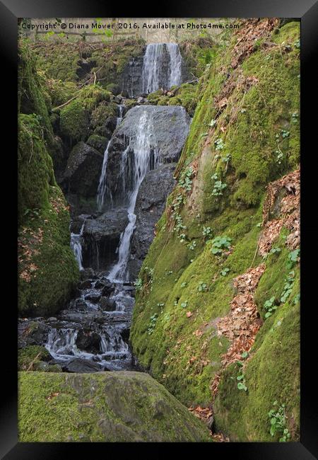 Clampit Falls, Devon. Framed Print by Diana Mower