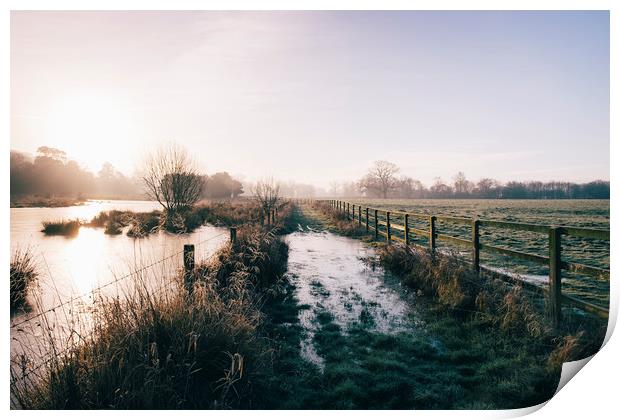 Track beside a fenced field on a frosty morning. H Print by Liam Grant