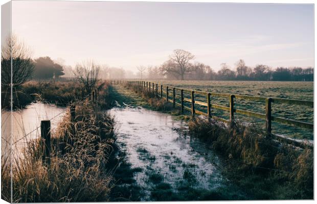 Track beside a fenced field on a frosty morning. H Canvas Print by Liam Grant