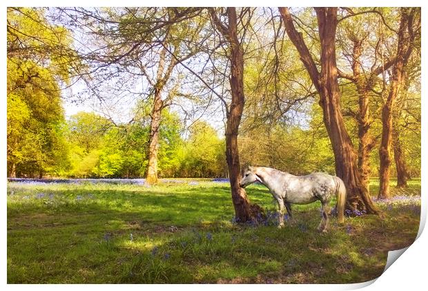 White Horse in  kent meadow Print by Dawn Cox
