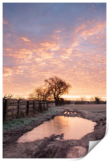 Frozen farm track at sunrise. Cressingham, Norfolk Print by Liam Grant