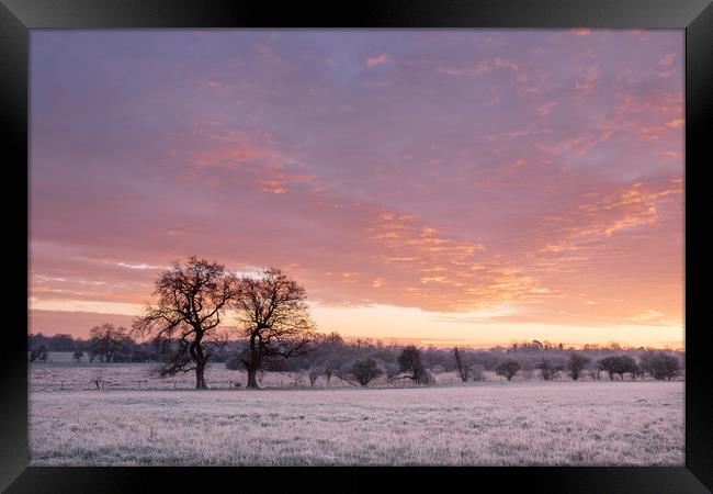 Frost covered field at sunrise. Cressingham, Norfo Framed Print by Liam Grant