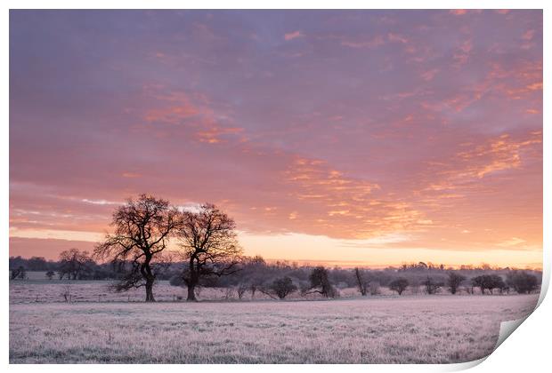Frost covered field at sunrise. Cressingham, Norfo Print by Liam Grant