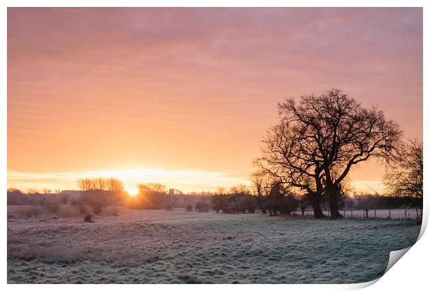 Frost covered field at sunrise. Cressingham, Norfo Print by Liam Grant