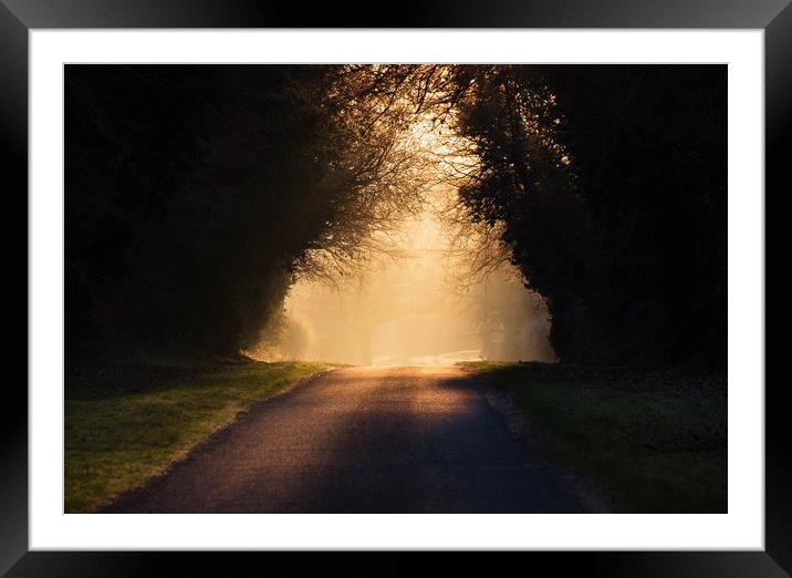 Sunrise through mist on remote rural road. Hilboro Framed Mounted Print by Liam Grant