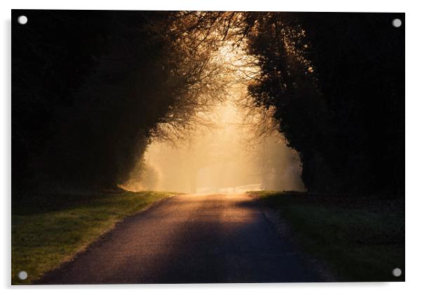 Sunrise through mist on remote rural road. Hilboro Acrylic by Liam Grant