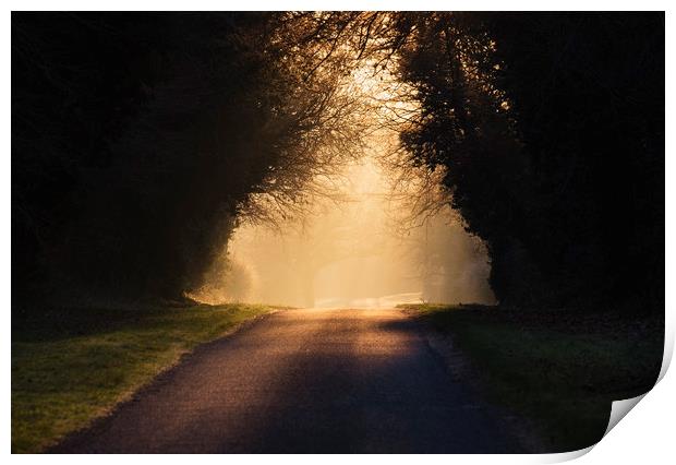 Sunrise through mist on remote rural road. Hilboro Print by Liam Grant