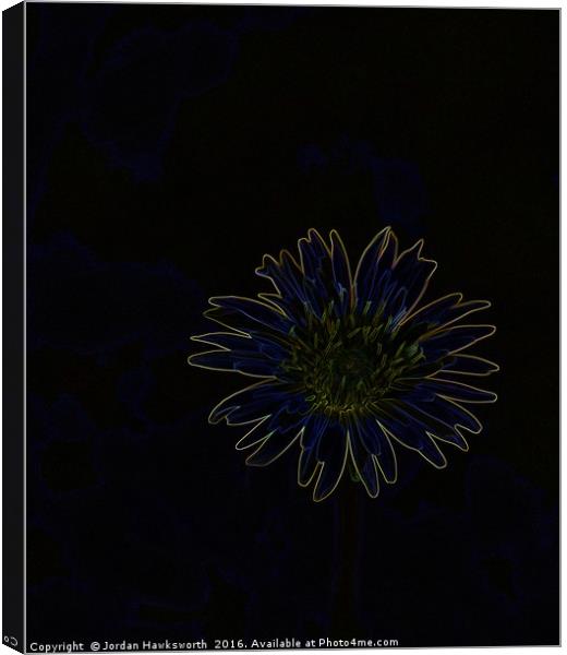 Glowing Dandelion  Canvas Print by Jordan Hawksworth