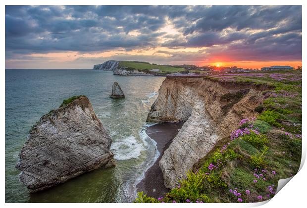 Freshwater Bay Sunset Print by Wight Landscapes