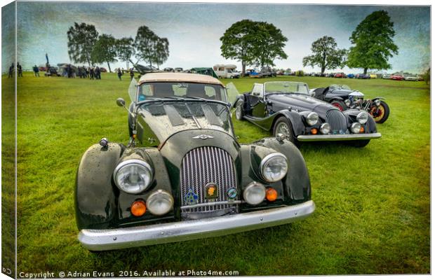 Classic Morgans Canvas Print by Adrian Evans