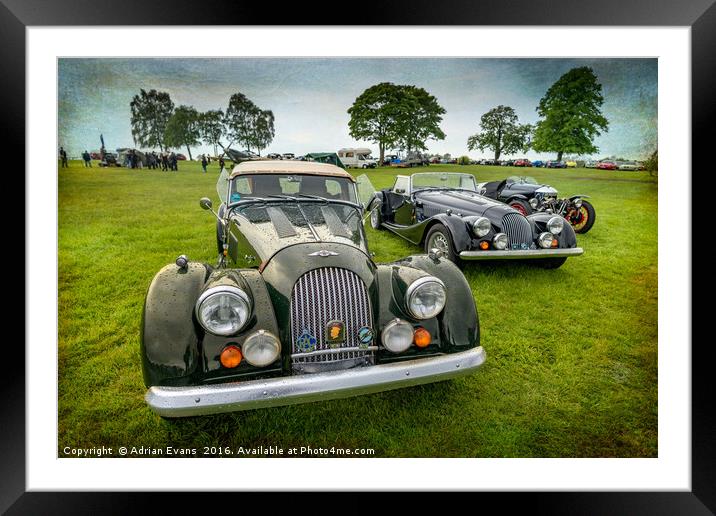 Classic Morgans Framed Mounted Print by Adrian Evans