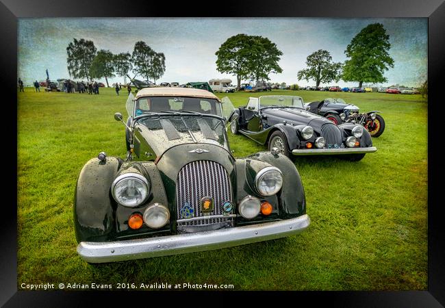 Classic Morgans Framed Print by Adrian Evans