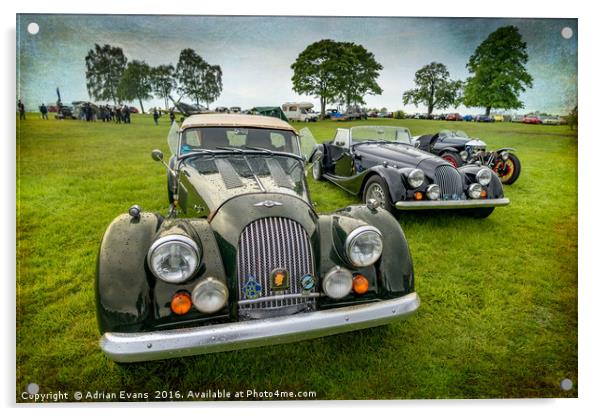 Classic Morgans Acrylic by Adrian Evans