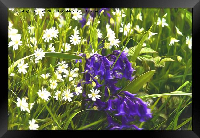 Artistic Greater Stitchwort and Bluebells Framed Print by Jim Jones