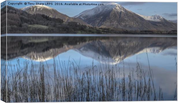 Crummock Water Calm Canvas Print by Tony Sharp LRPS CPAGB