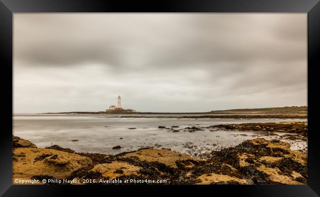 St. Mary's Lighthouse viewed from Hartley Bay..... Framed Print by Naylor's Photography