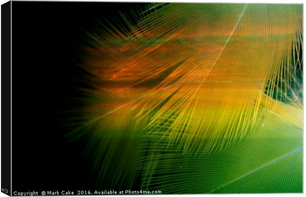 Sunset palms Canvas Print by Mark Cake