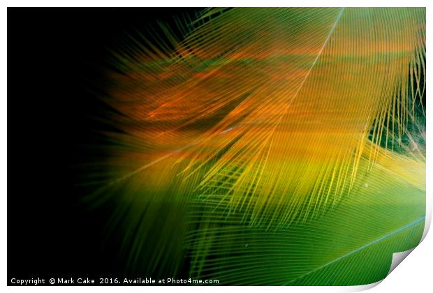 Sunset palms Print by Mark Cake