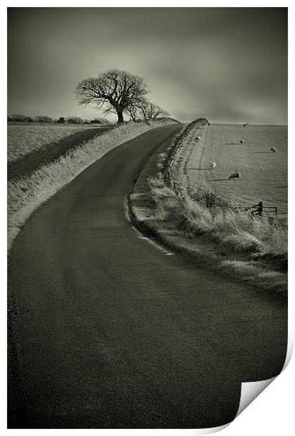 Open Road Print by Reg Atkinson