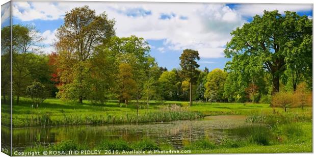 "THE LAKE AT THORP PERROW ARBORETUM" Canvas Print by ROS RIDLEY