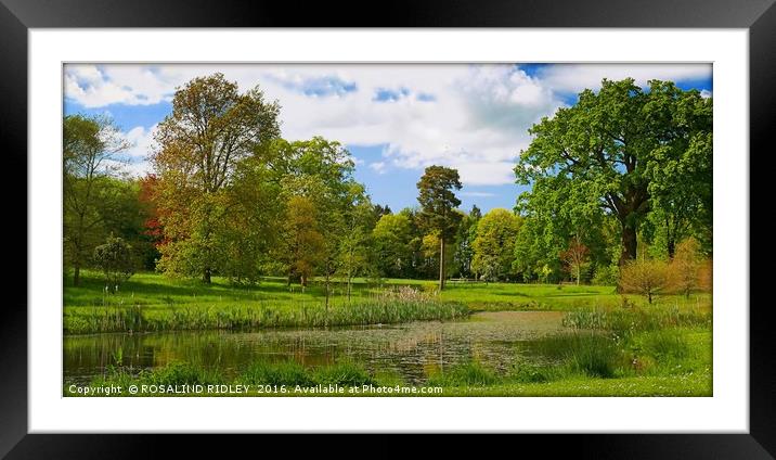 "THE LAKE AT THORP PERROW ARBORETUM" Framed Mounted Print by ROS RIDLEY