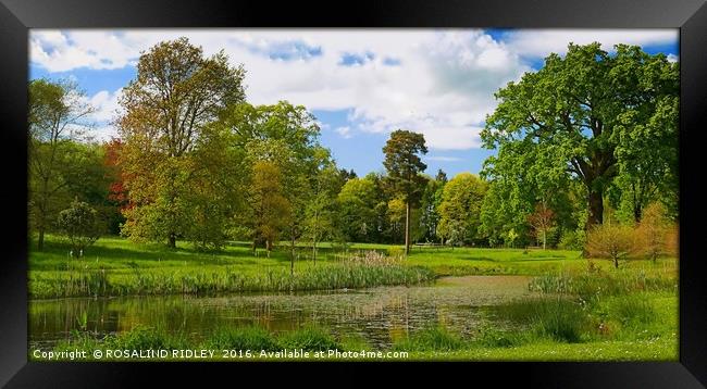 "THE LAKE AT THORP PERROW ARBORETUM" Framed Print by ROS RIDLEY