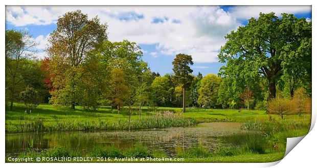 "THE LAKE AT THORP PERROW ARBORETUM" Print by ROS RIDLEY
