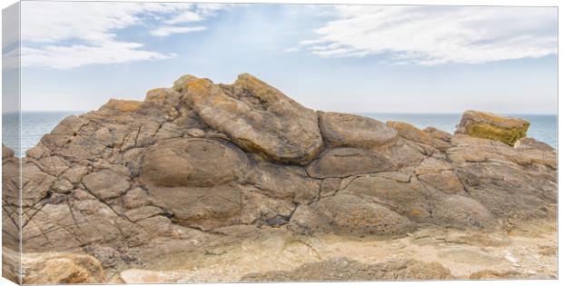 Fossil tree burrs at the 'Fossil Forest' on Dorset Canvas Print by Mark Godden