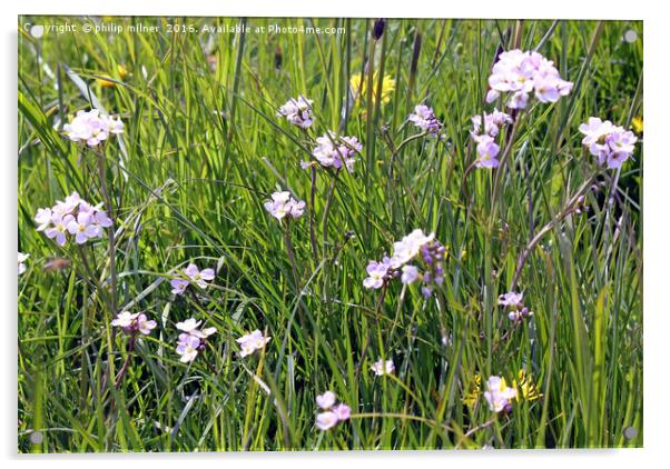 Meadow Flowers Acrylic by philip milner